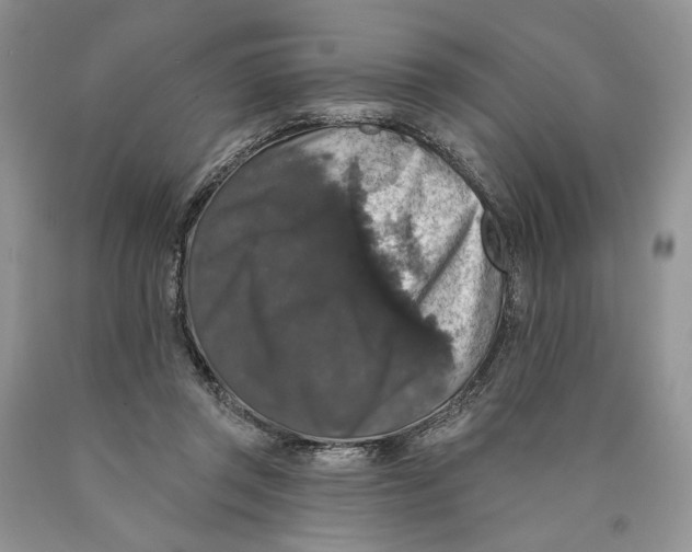 X0000089960357200707271906