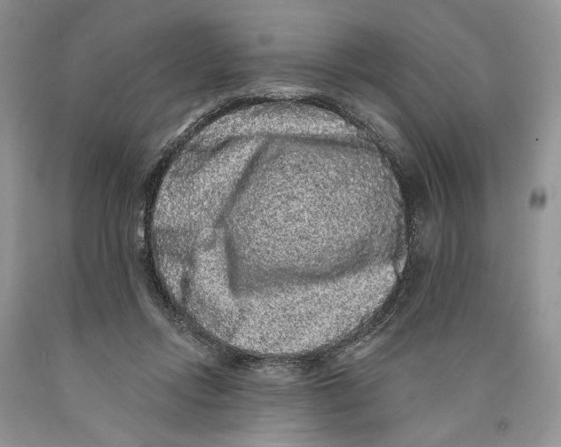 X0000089960358200707271906