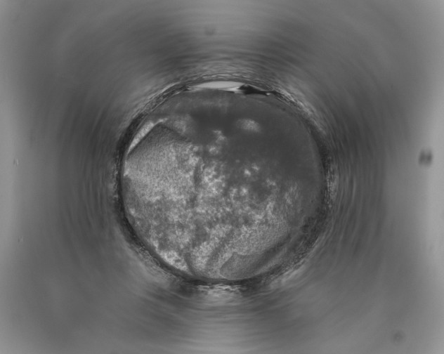 X0000089960359200707271906