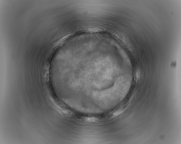 X0000089960360200707271906