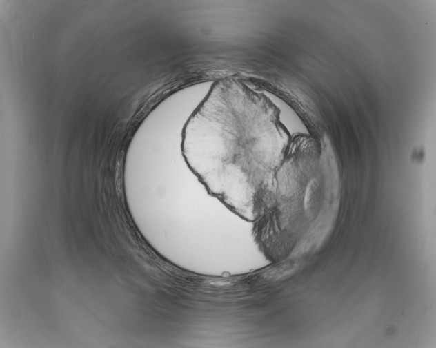 X0000089960361200707271906