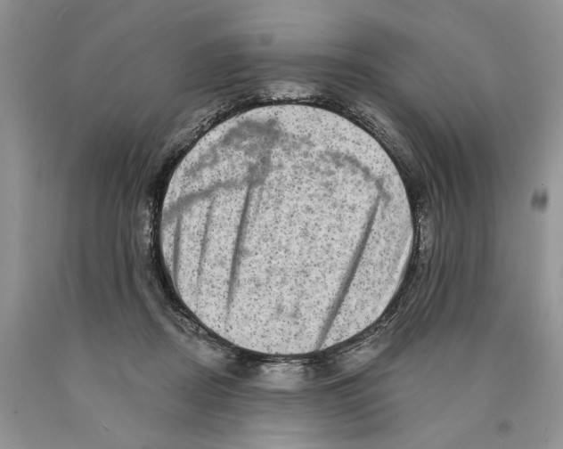 X0000089960362200707271906