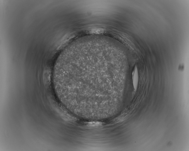 X0000089960363200707271906