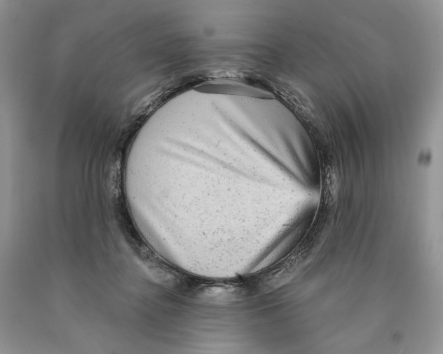 X0000089960364200707271906