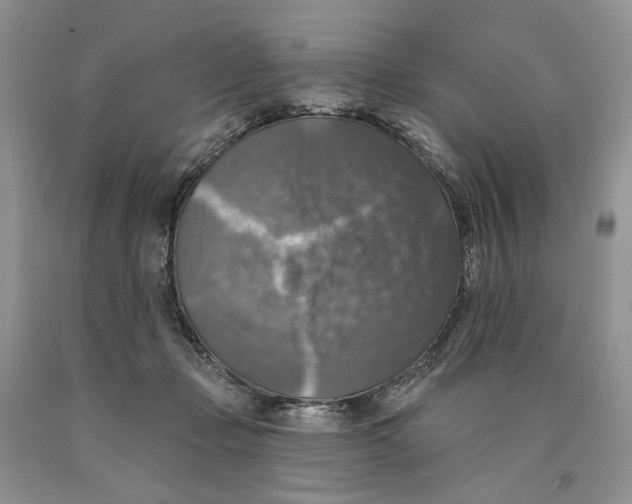 X0000089960365200707271906