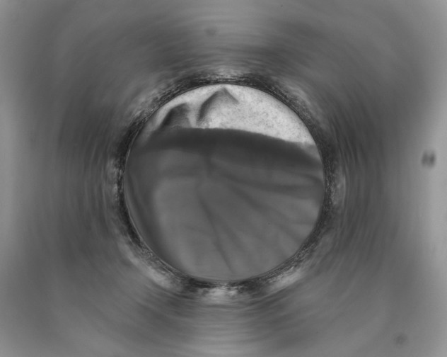 X0000089960366200707271906