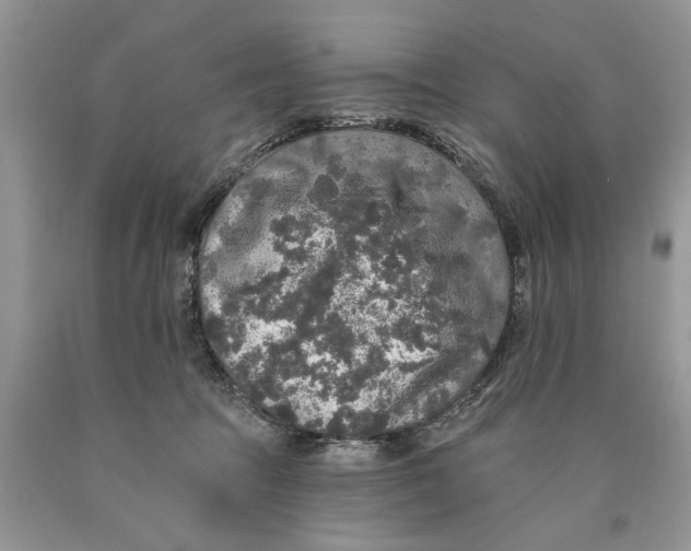 X0000089960369200707271906