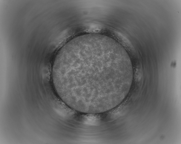 X0000089960370200707271906