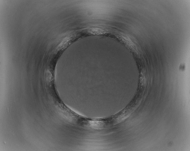 X0000089960371200707271906