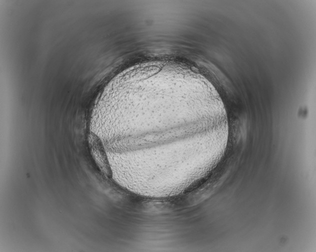 X0000089960372200707271906