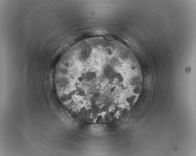 X0000089960373200707271906