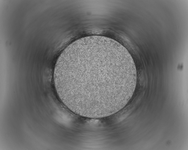 X0000089960374200707271906