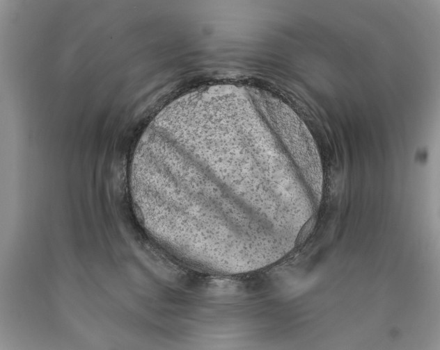 X0000089960376200707271906