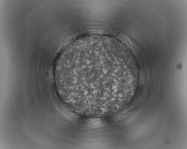 X0000089960377200707271906