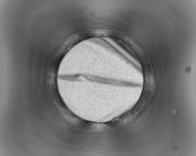 X0000089960379200707271906