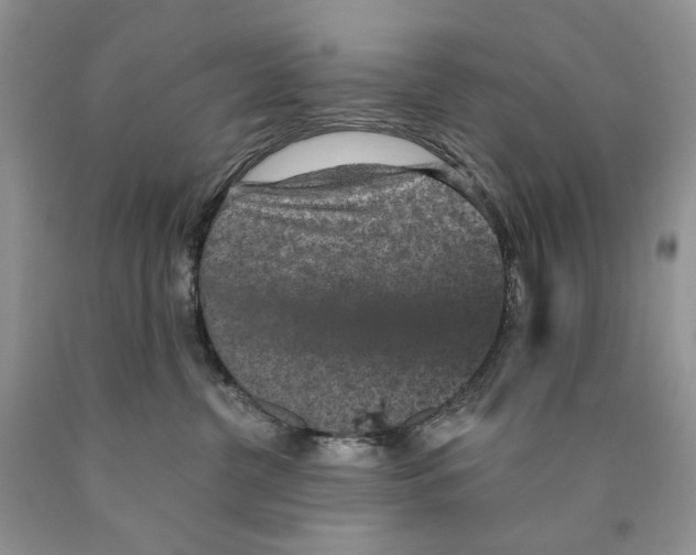 X0000089960380200707271906