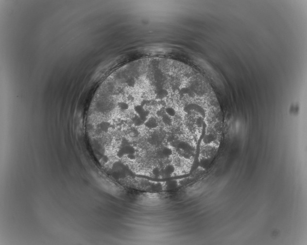 X0000089960381200707271906