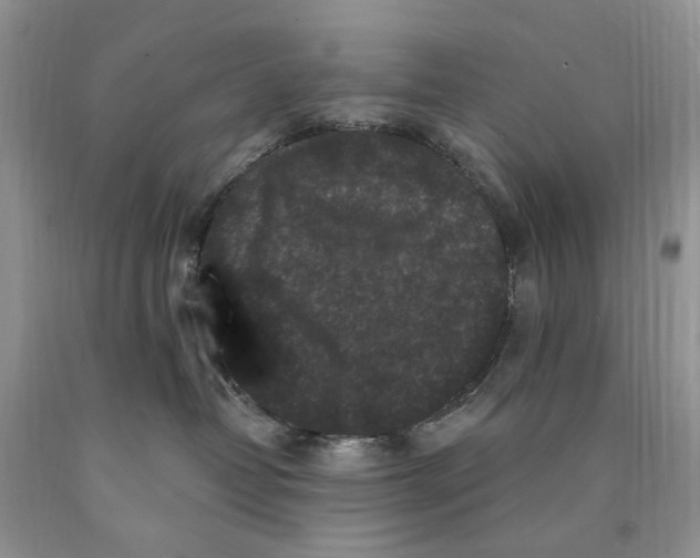 X0000089960382200707271906