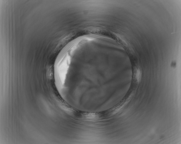 X0000089960383200707271906