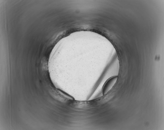 X0000089960384200707271906