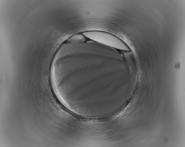 X0000089960385200707271906