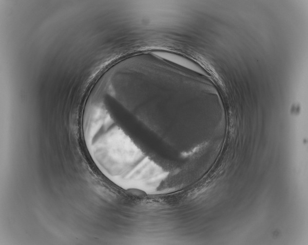 X0000089960386200707271906