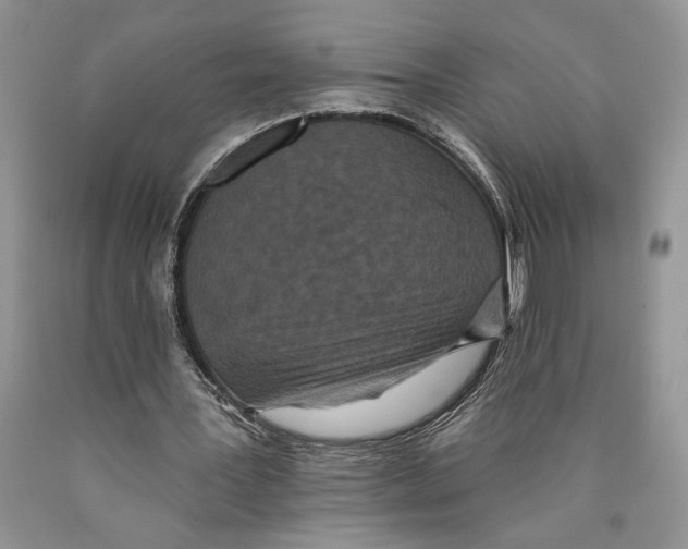 X0000089960387200707271906