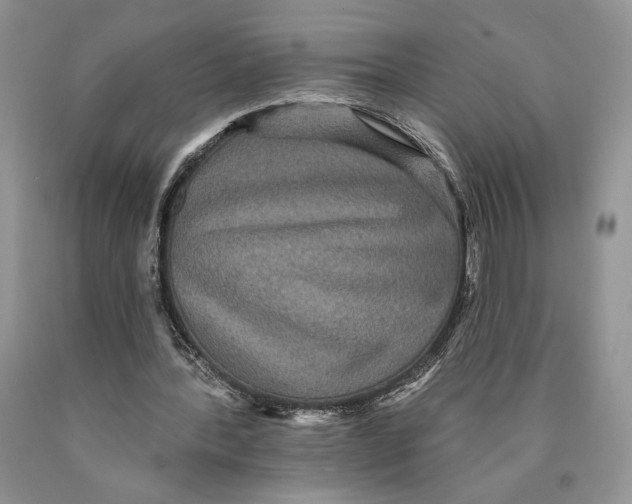 X0000089960388200707271906