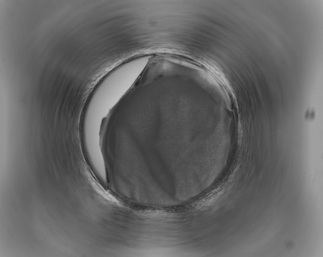 X0000089960389200707271906