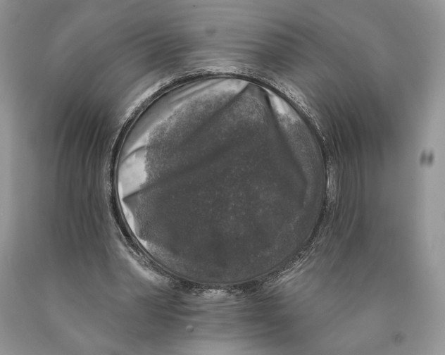 X0000089960390200707271906