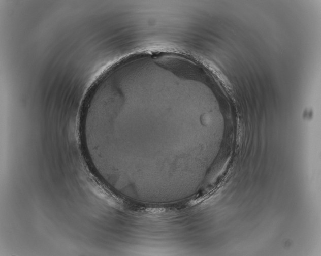 X0000089960391200707271906