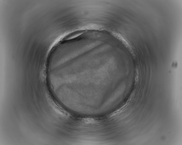 X0000089960392200707271906