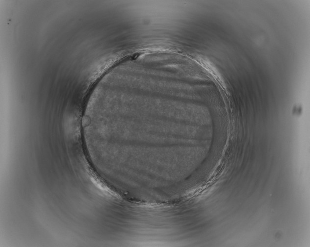 X0000089960393200707271905