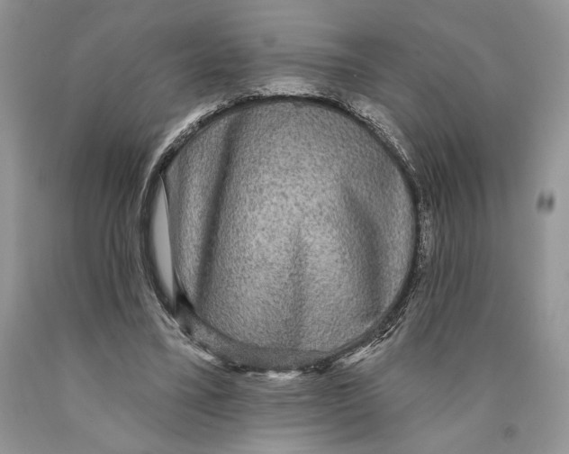 X0000089960395200707271905