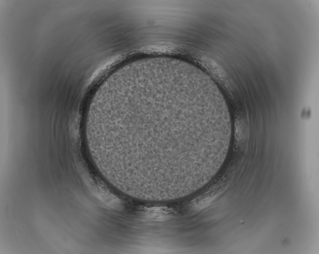 X0000089960396200707271905