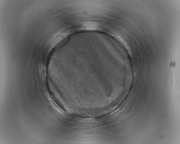 X0000089960397200707271905