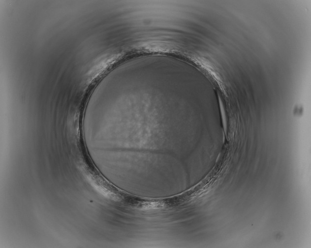 X0000089960398200707271905