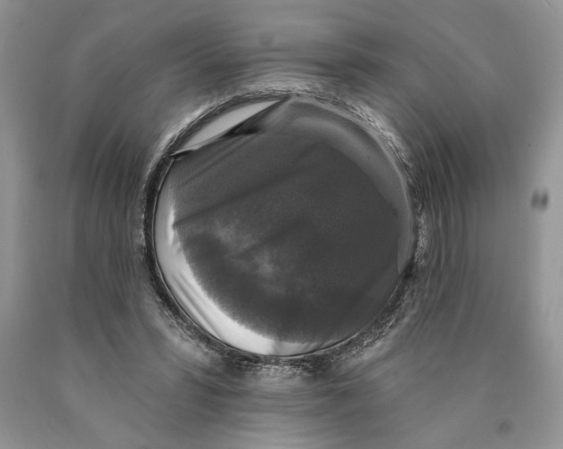 X0000089960399200707271905