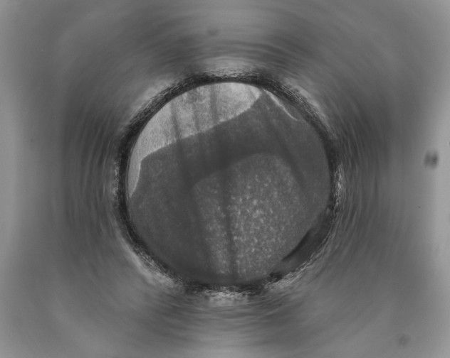 X0000089960400200707271905