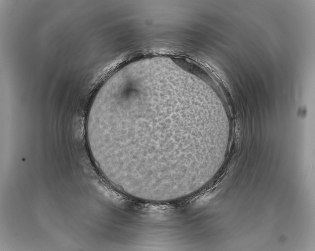 X0000089960401200707271905