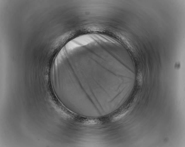 X0000089960402200707271905