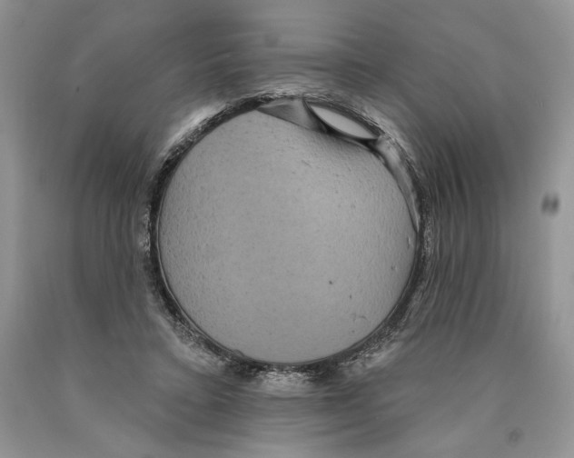 X0000089960403200707271905