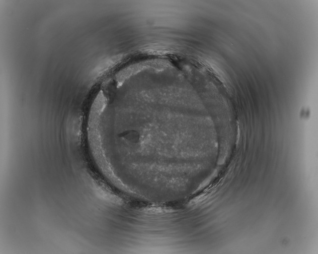 X0000089960404200707271905