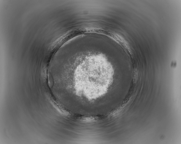 X0000089960405200707271905