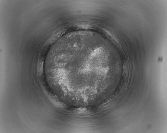 X0000089960406200707271905