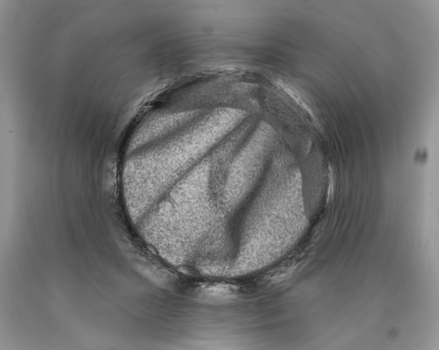 X0000089960407200707271905