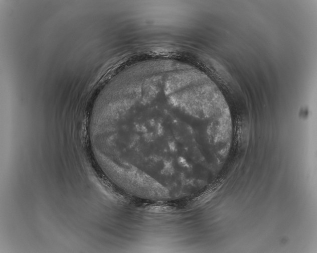 X0000089960408200707271905