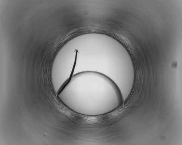 X0000089960409200707271905