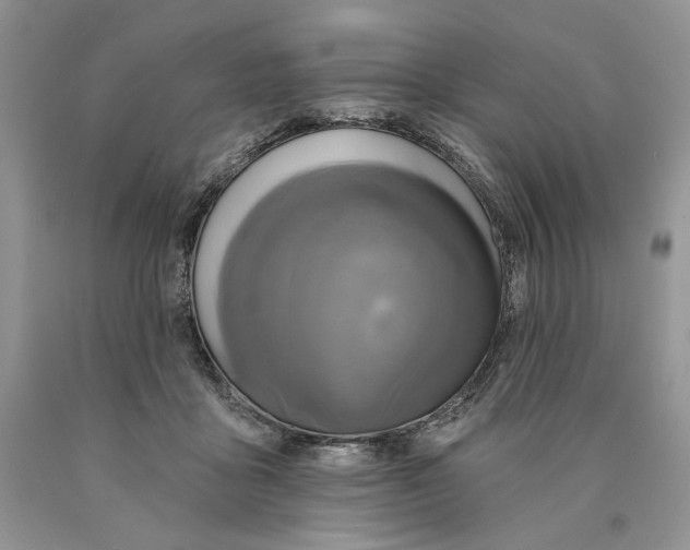 X0000089960411200707271905