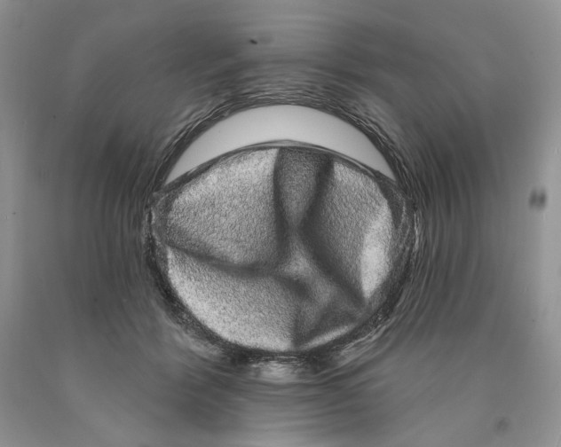 X0000089960412200707271905